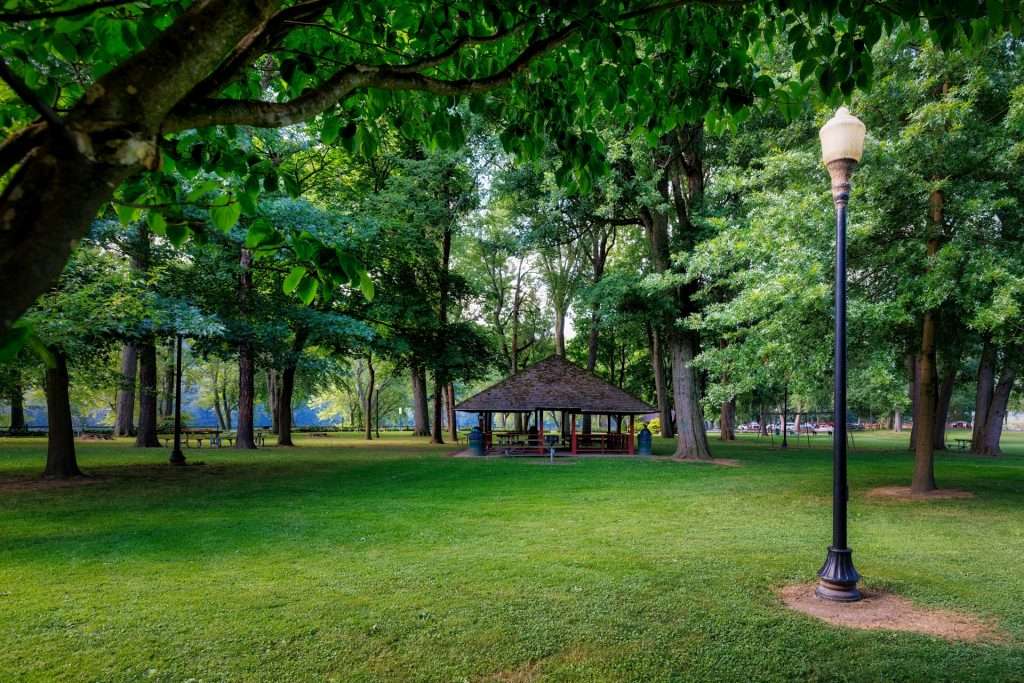 A beautiful greenery shot of the bloomsburg park